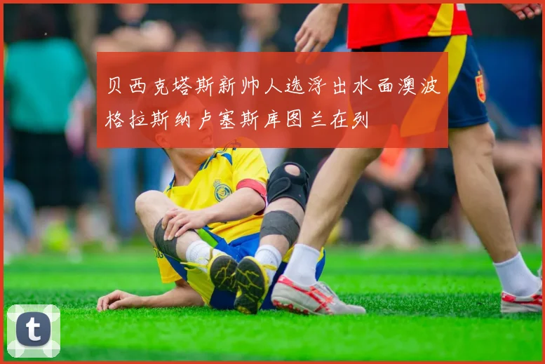 贝西克塔斯新帅人选浮出水面澳波格拉斯纳卢塞斯库图兰在列